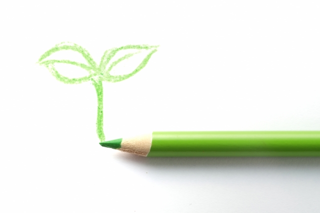緑鉛筆で芽を描く