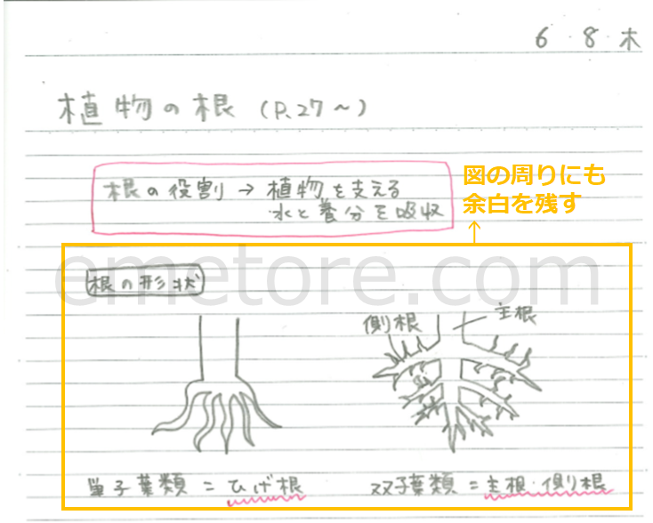 ノートの取り方 教科ごと 分かりやすくまとめるコツ